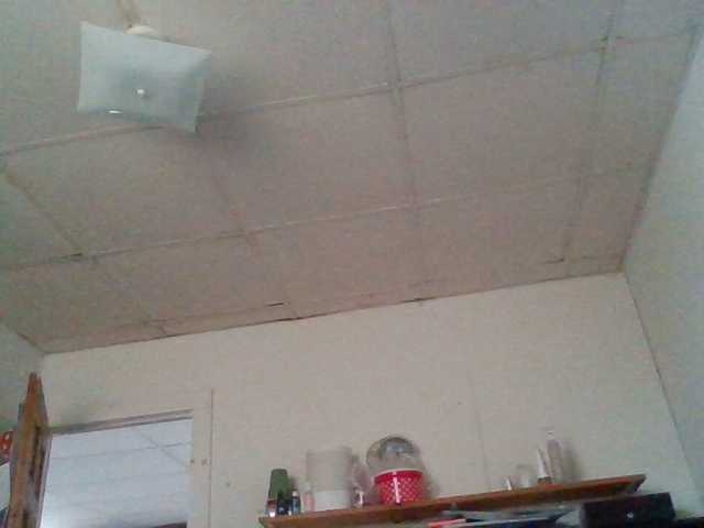 starlight1983's BongaCams show and profile