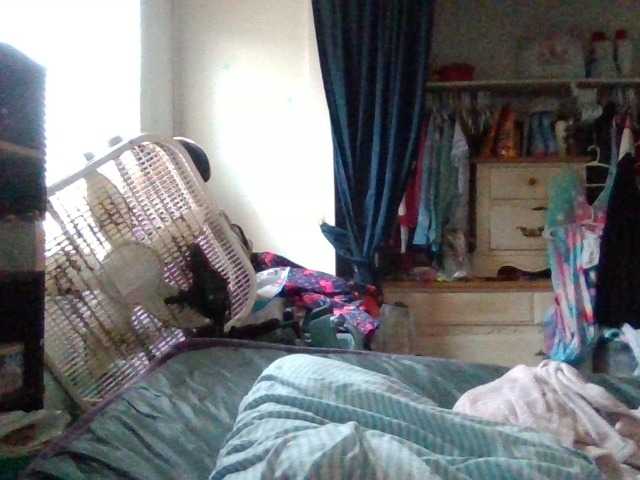 starlight1983's BongaCams show and profile