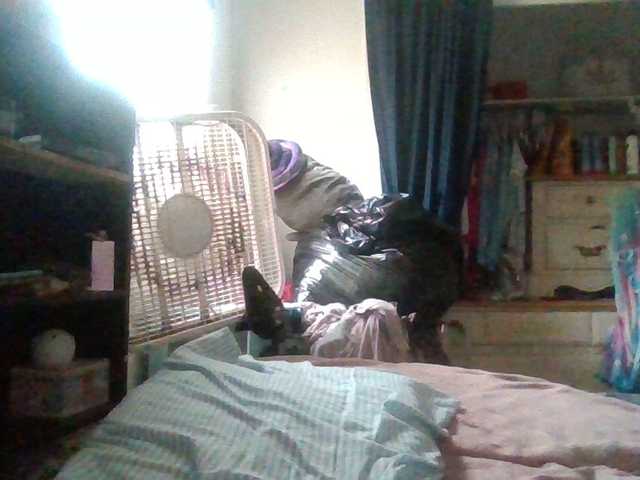 Preview of starlight1983