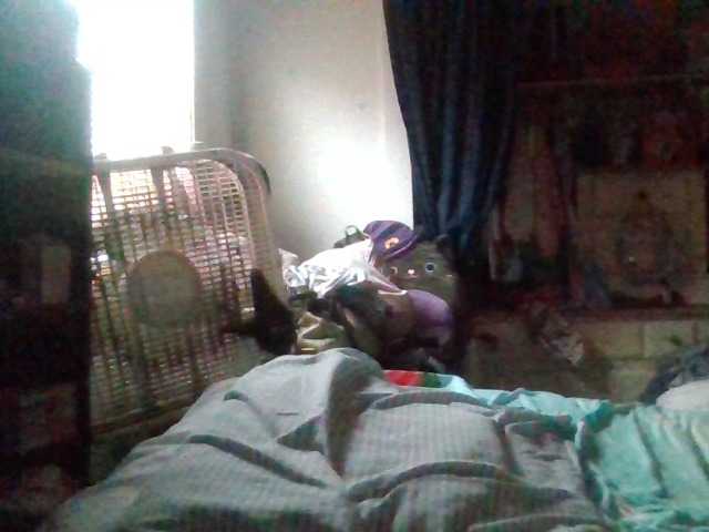 starlight1983's BongaCams show and profile