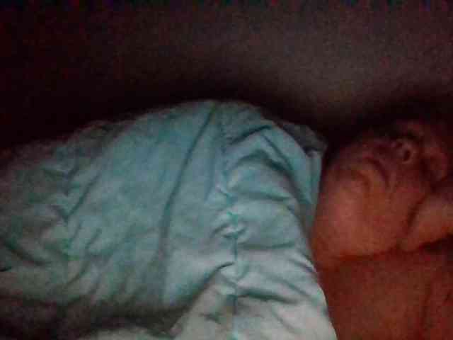 starlight1983 webcam