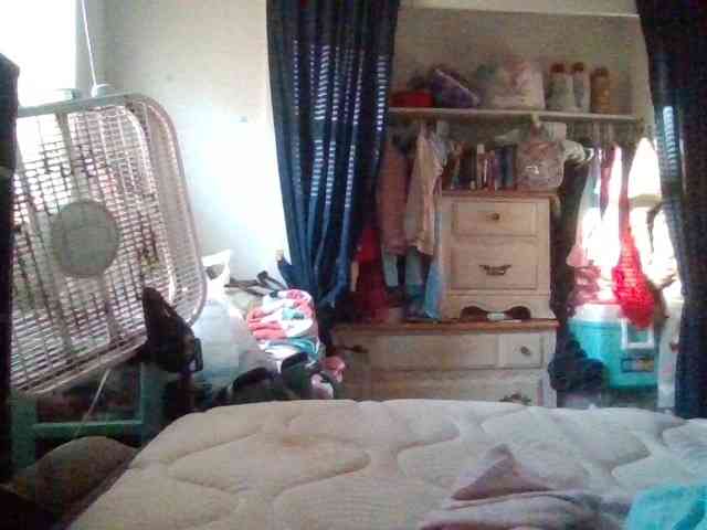 starlight1983 webcam