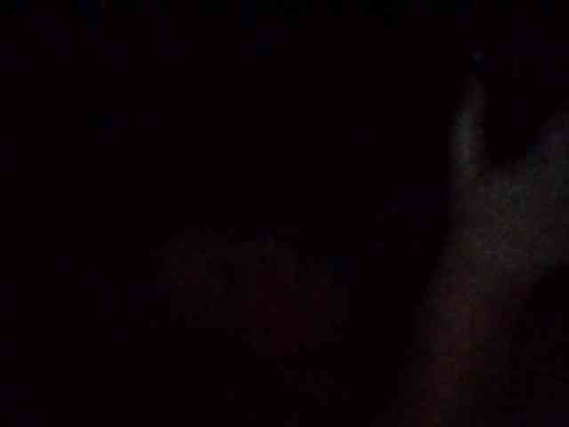 starlight1983 webcam