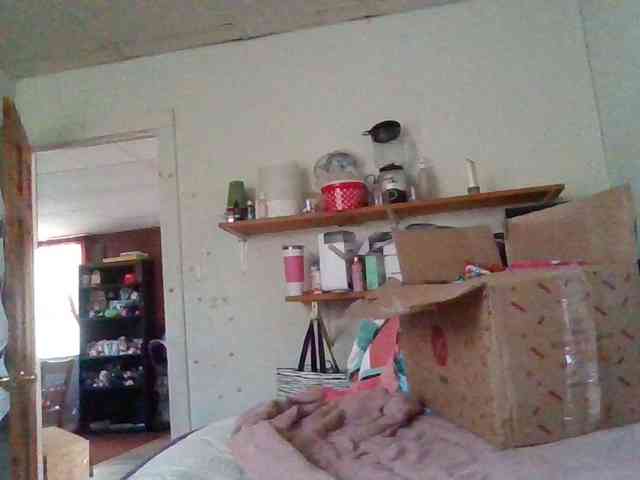 starlight1983 webcam