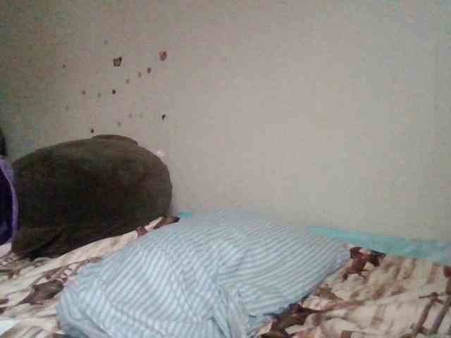 starlight1983 webcam