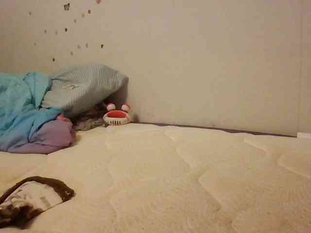 starlight1983 webcam