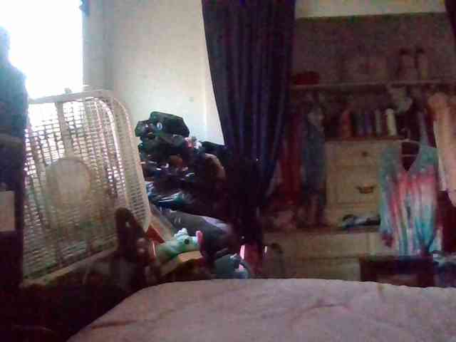 starlight1983 webcam