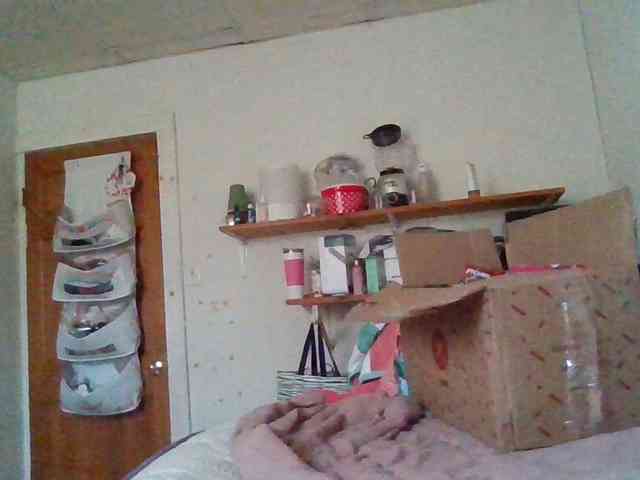 starlight1983 webcam