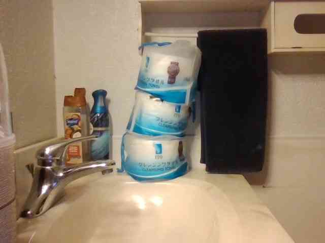 starlight1983 webcam