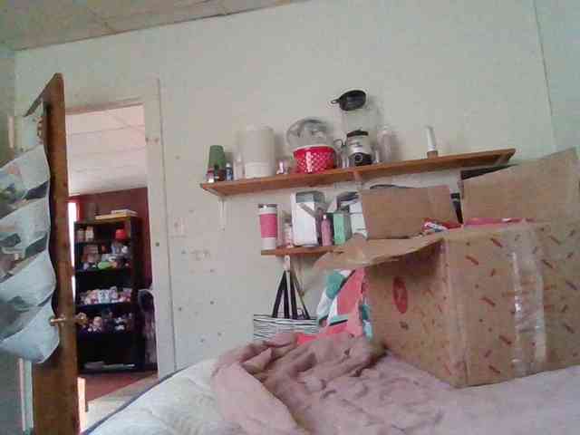 starlight1983 webcam