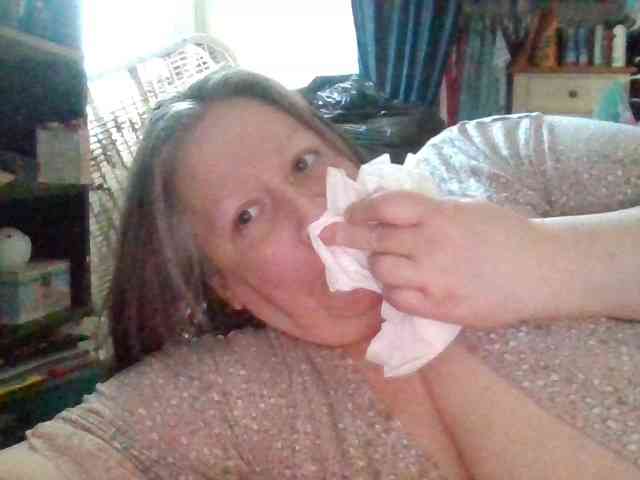 starlight1983 webcam