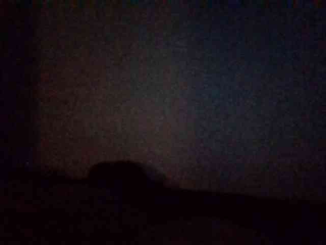 starlight1983 starlight1983