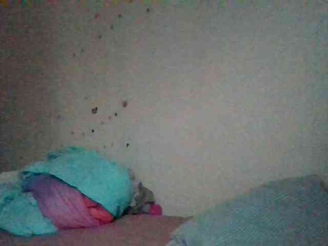 starlight1983 webcam