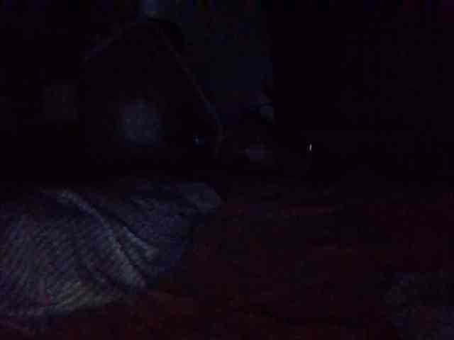 starlight1983 webcam