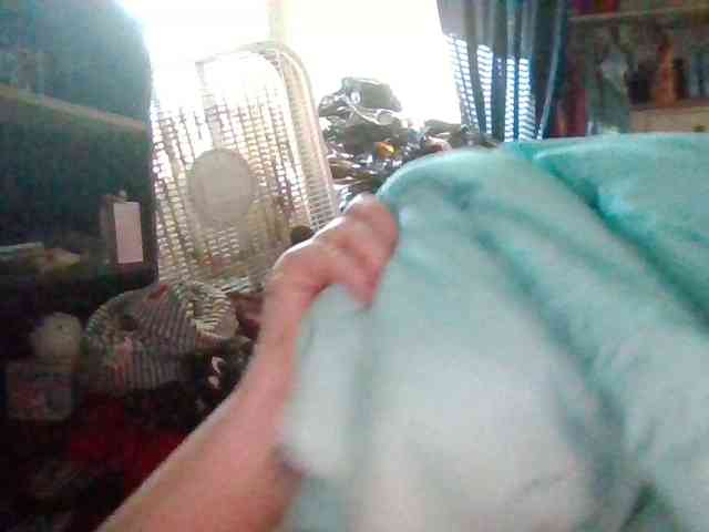 starlight1983 webcam