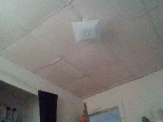 starlight1983 webcam