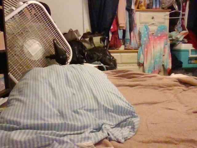 starlight1983 webcam