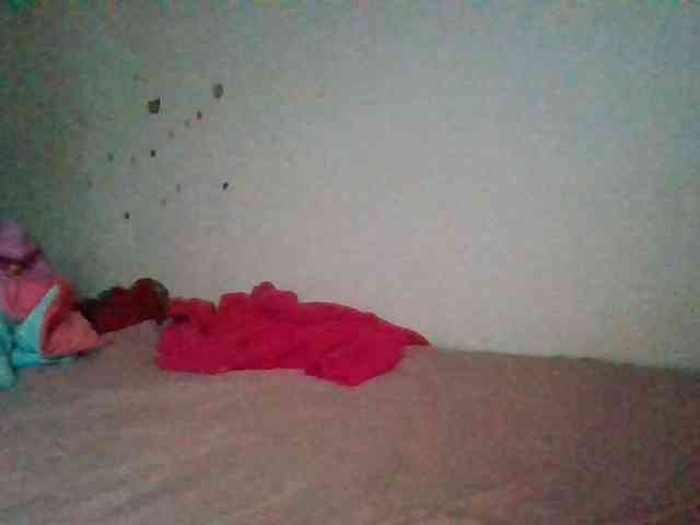 starlight1983 webcam