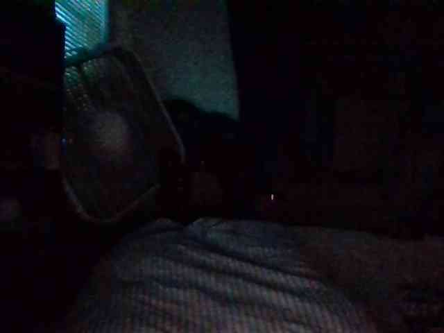 starlight1983 webcam