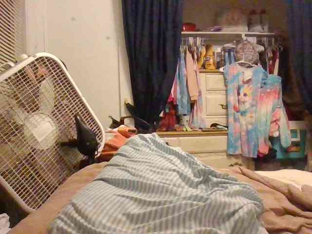 starlight1983 webcam