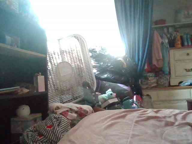 starlight1983 webcam