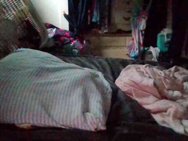 starlight1983 webcam