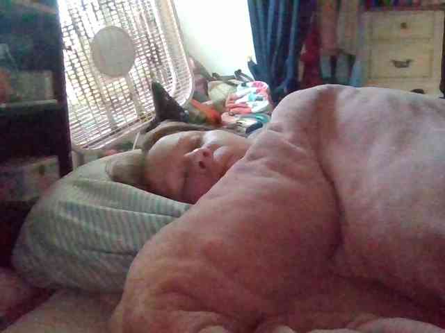 starlight1983 webcam