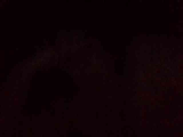 starlight1983 webcam