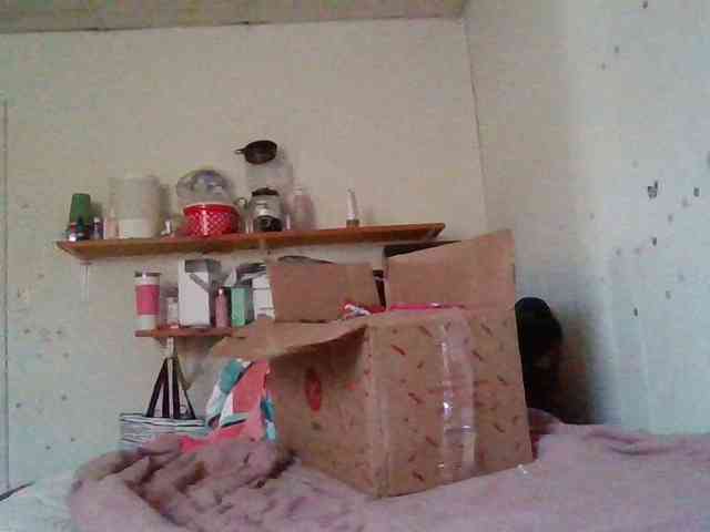 starlight1983 webcam