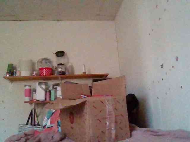 starlight1983 webcam