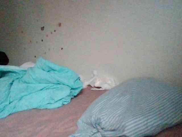 starlight1983 webcam