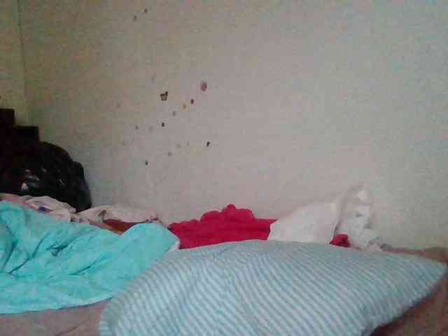 starlight1983 webcam