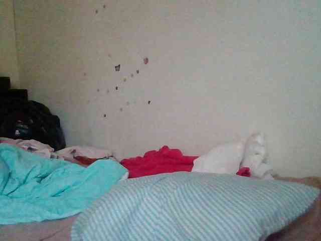 starlight1983 webcam