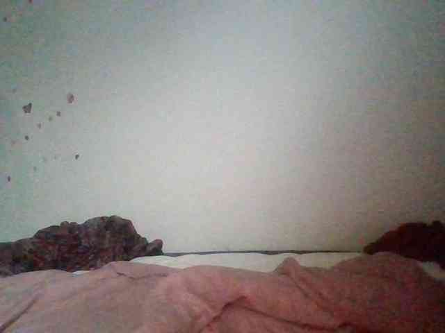 starlight1983 webcam