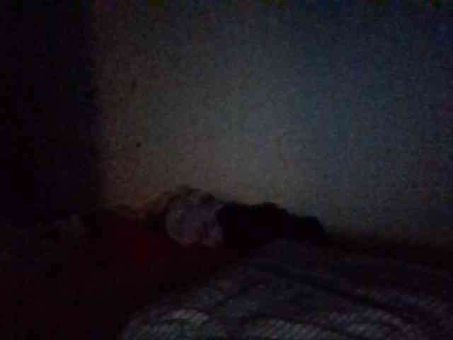 starlight1983 webcam