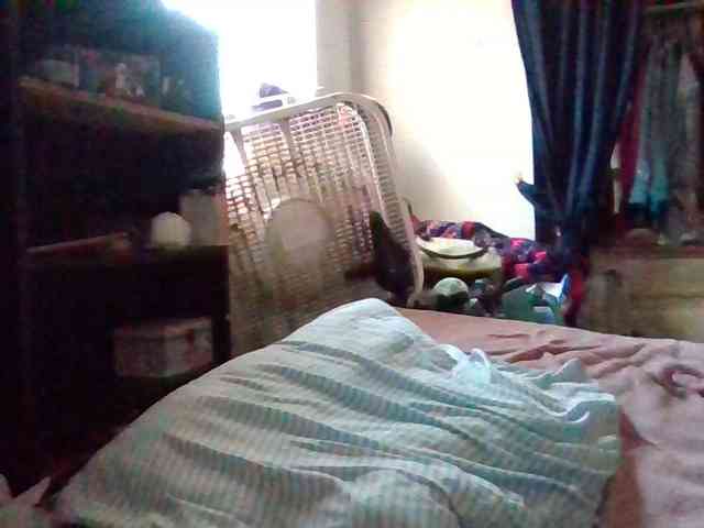 starlight1983 webcam