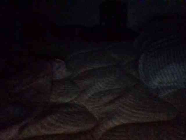 starlight1983 webcam