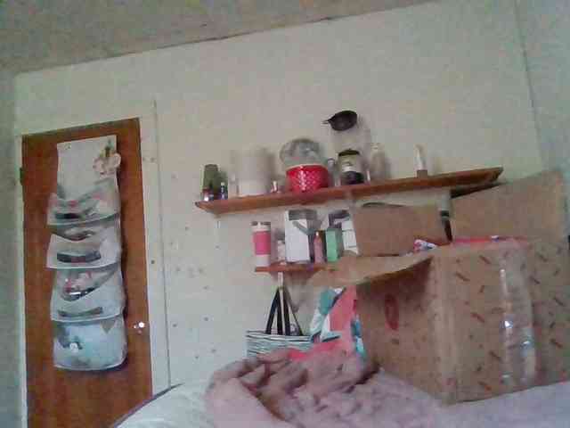 starlight1983 webcam