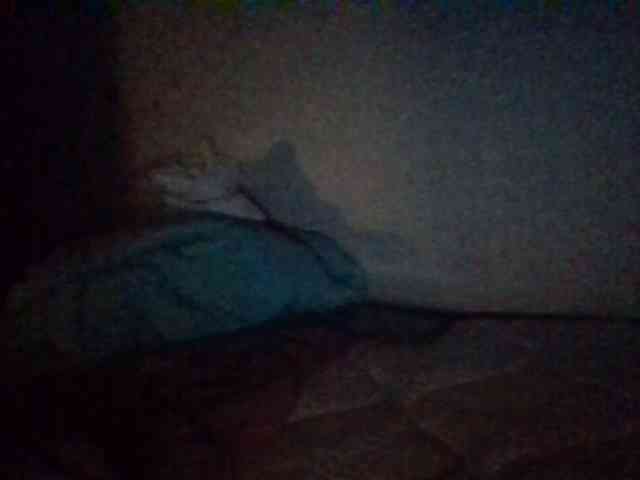 starlight1983 webcam