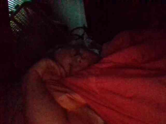 starlight1983 starlight1983