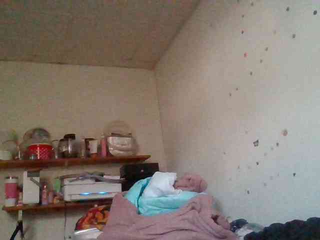 starlight1983 webcam