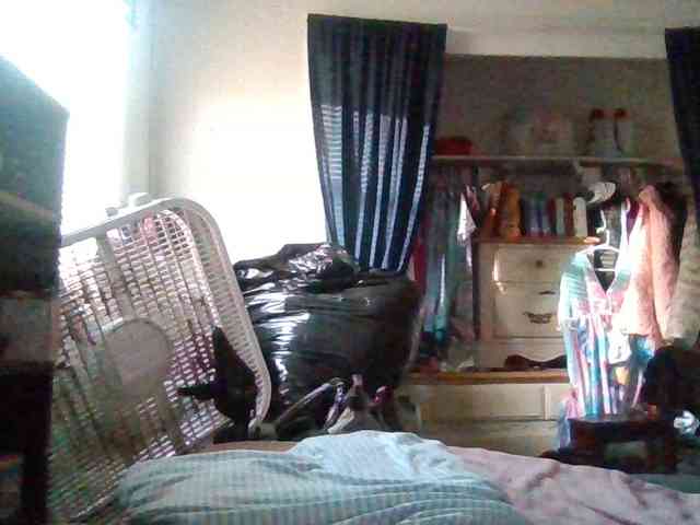 starlight1983 webcam