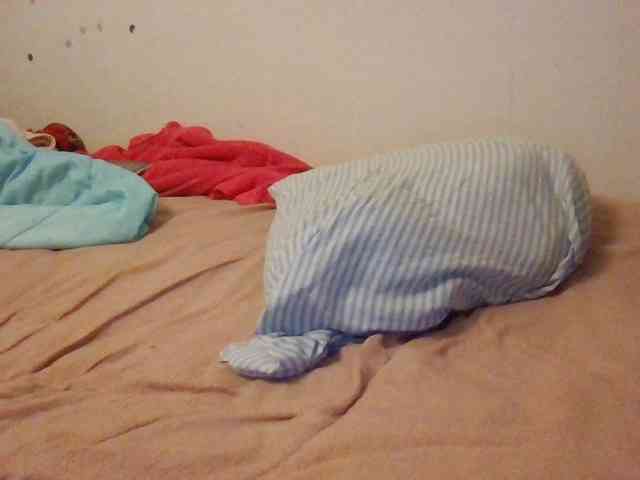 starlight1983 webcam