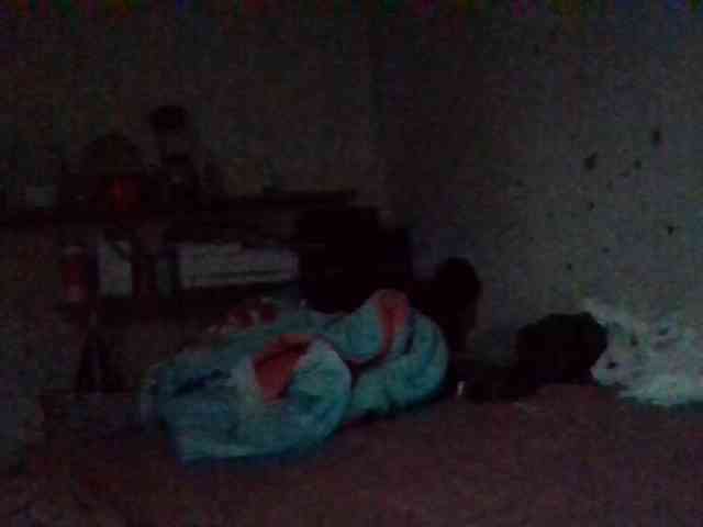 starlight1983 webcam