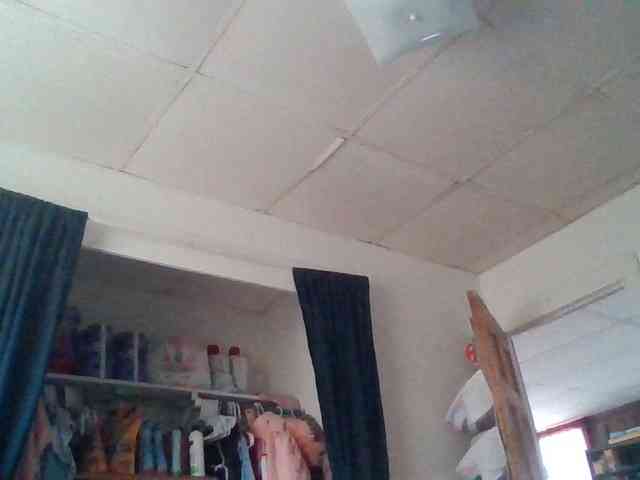 starlight1983 webcam