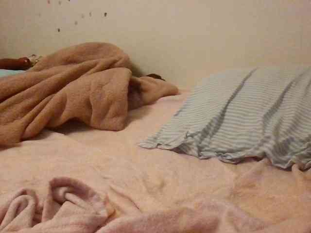 starlight1983 webcam