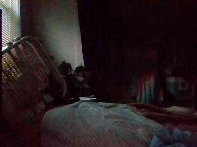 starlight1983 webcam