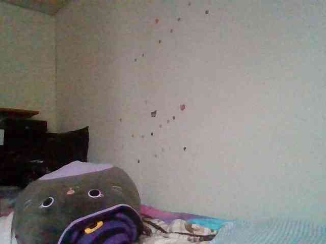 starlight1983 webcam