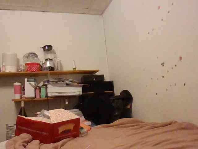 starlight1983 webcam