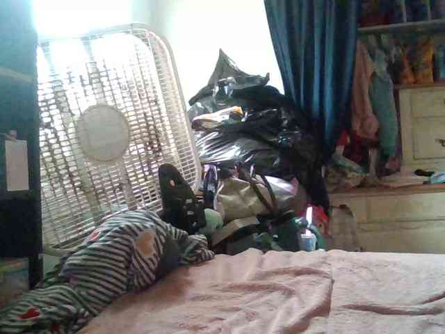 starlight1983 webcam